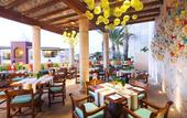 Туры в отель Hacienda Encantada Resort & Residences