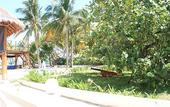 Туры в отель Hotel Cabanas Maria del Mar