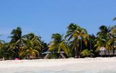 Туры в отель Hotel Posada Del Mar
