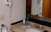 Туры в отель Hotel Guadalajara Plaza Ejecutivo