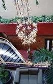 Туры в отель Hotel Santa Irene