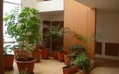 Туры в отель SUITES FUTURA PLAZA DEL SOL