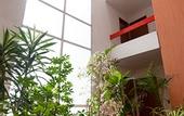 Туры в отель SUITES FUTURA PLAZA DEL SOL