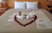 Туры в отель Hotel Real Zapopan