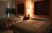 Туры в отель Hotel Real Zapopan