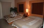 Туры в отель Hotel Real Zapopan