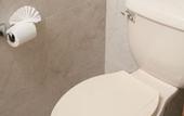 Туры в отель Hotel Real Zapopan