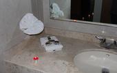 Туры в отель Hotel Real Zapopan
