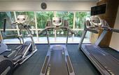 Туры в отель Holiday Inn Acapulco La Isla by IHG