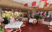 Туры в отель Hotel Los Flamingos