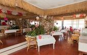 Туры в отель Hotel Los Flamingos