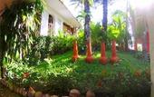 Туры в отель Hotel Los Flamingos