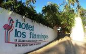 Туры в отель Hotel Los Flamingos