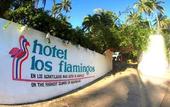 Туры в отель Hotel Los Flamingos