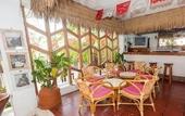 Туры в отель Hotel Los Flamingos