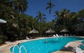 Туры в отель Hotel Los Flamingos