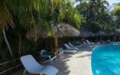 Туры в отель Hotel Los Flamingos