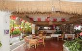 Туры в отель Hotel Los Flamingos