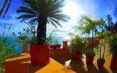 Туры в отель Hotel Los Flamingos