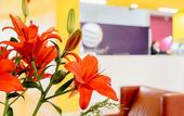 Туры в отель Comfort Inn Monterrey Valle