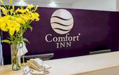 Туры в отель Comfort Inn Monterrey Valle