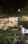 Туры в отель Hotel Chipinque