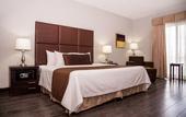 Туры в отель Best Western Plus Monterrey Airport