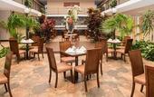 Туры в отель Best Western Plus Monterrey Airport