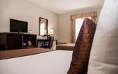 Туры в отель Best Western Plus Monterrey Airport