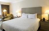 Туры в отель Hilton Garden Inn Monterrey