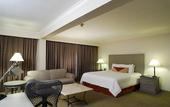 Туры в отель Hilton Garden Inn Monterrey