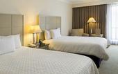 Туры в отель Hilton Garden Inn Monterrey