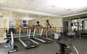 Туры в отель Hilton Garden Inn Monterrey