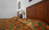 Туры в отель Hotel Fiesta Versalles