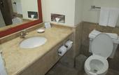Туры в отель The Palms Resort of Mazatlan