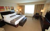 Туры в отель Crowne Plaza Leon by IHG