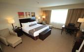 Туры в отель Crowne Plaza Leon by IHG