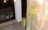 Туры в отель Hotel 1988 Guanajuato