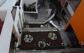 Туры в отель Hotel 1988 Guanajuato