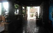 Туры в отель Hotel 1988 Guanajuato