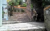 Туры в отель Hotel 1988 Guanajuato