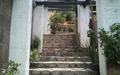 Туры в отель Hotel 1988 Guanajuato