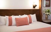 Туры в отель Hotel Mision Guanajuato