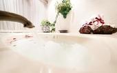 Туры в отель Hotel Mision Guanajuato
