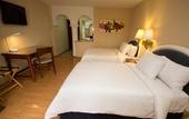 Туры в отель Gran Plaza Hotel & Convention Center