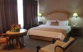 Туры в отель Best Western Plus Plaza Florida & Tower