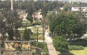 Туры в отель Best Western Plus Plaza Florida & Tower