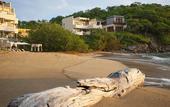 Туры в отель Celeste Beach Residences Huatulco Curamoria Collection