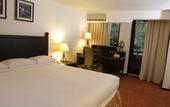Туры в отель Marriott Puebla Hotel Meson del Angel