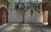 Туры в отель Hotel Boutique Casareyna